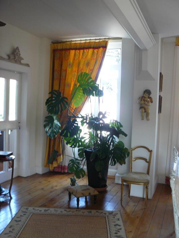 Chambres D'Hotes L'Albinque กัสทร์ ภายนอก รูปภาพ